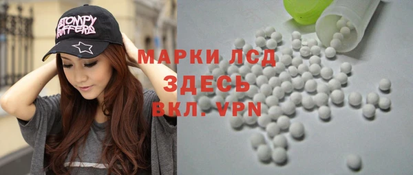 хмурый Новозыбков