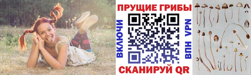 МЕГА вход  Братск  Псилоцибиновые грибы мухоморы  где можно купить наркотик 